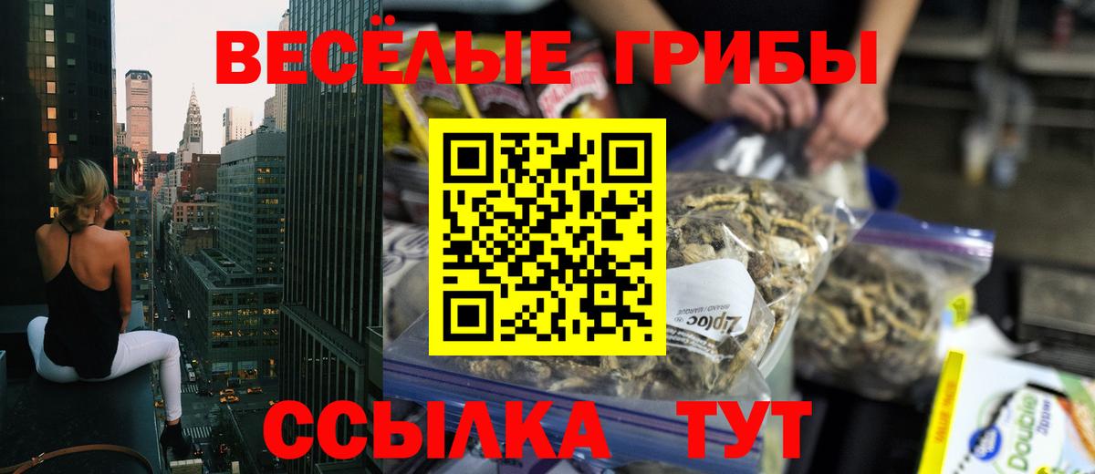 Псилоцибиновые грибы мухоморы  Вход с VPN  Бийск 